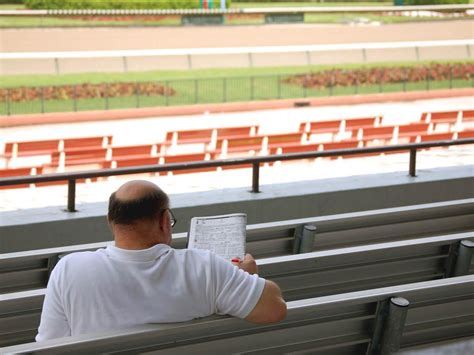 Perm Patent Bet Calculator & Betting Explained.